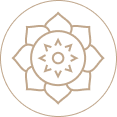 Vector-1-1.png